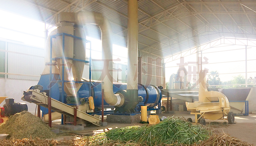 菲律賓象草烘幹機案例現場